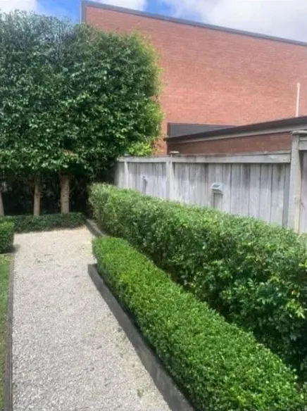 After: courtyard hedges reshaped
