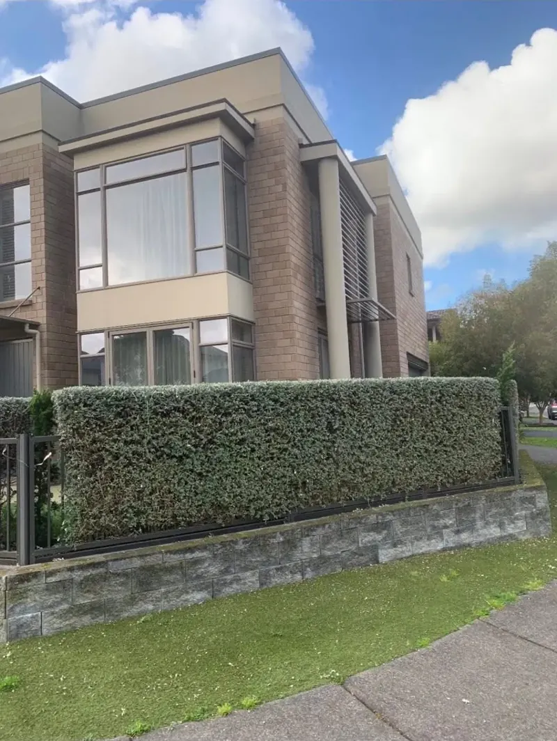 Freshly trimmed front boundary hedge on a stone retaining wall beside a modern home