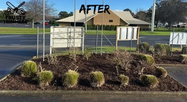 After: overgrown garden bed cleared