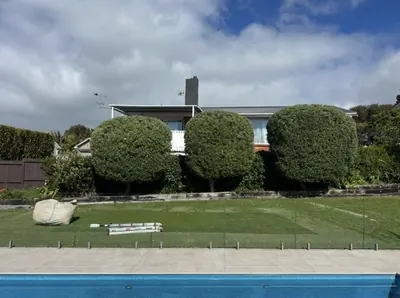 Three large round topiary shrubs trimmed above a lawn beside a swimming pool